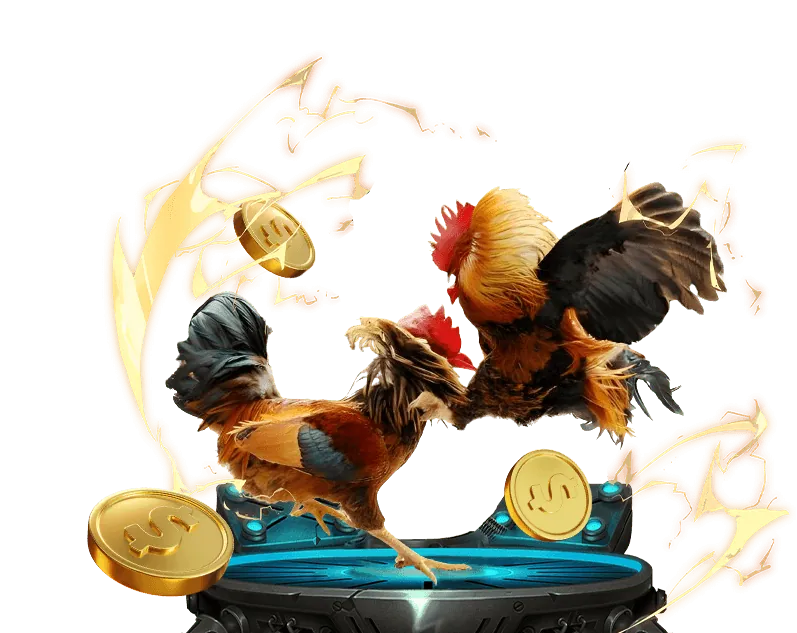 Đá Gà Trực Tiếp f8bet vip